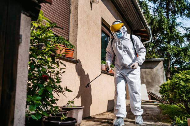 Bird Control in Campbell, FL