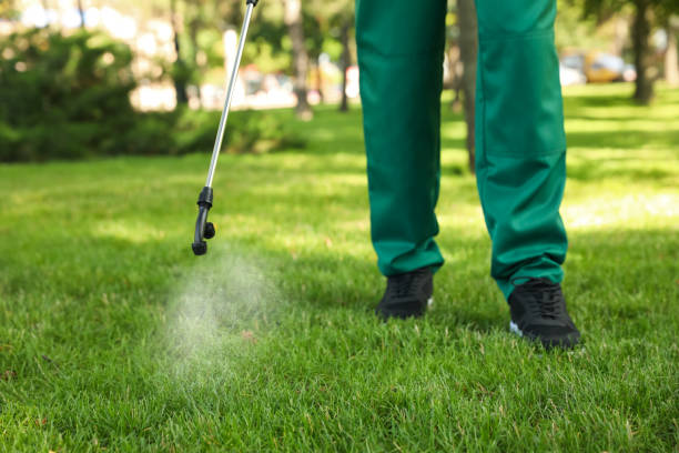 Best Flea Control Services  in Campbell, FL