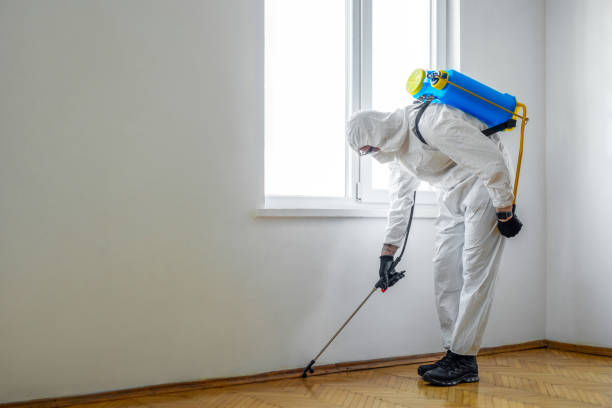 Best Cockroach Control Services  in Campbell, FL