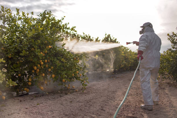 Best Pest Prevention Services  in Campbell, FL