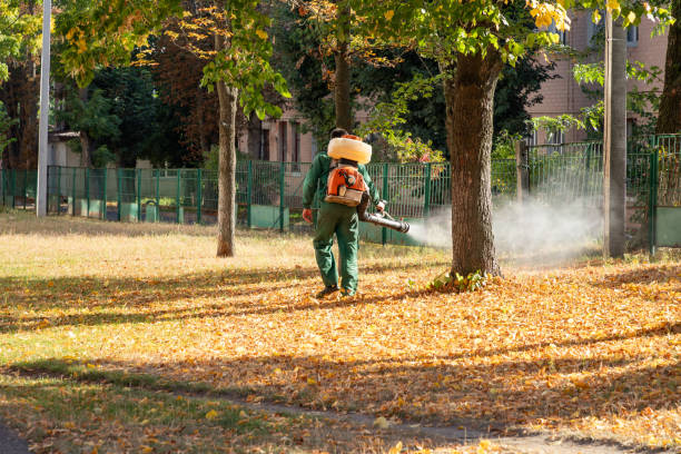 Best Pest Removal Services  in Campbell, FL