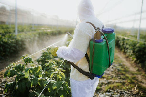 Best Mosquito Control Services  in Campbell, FL